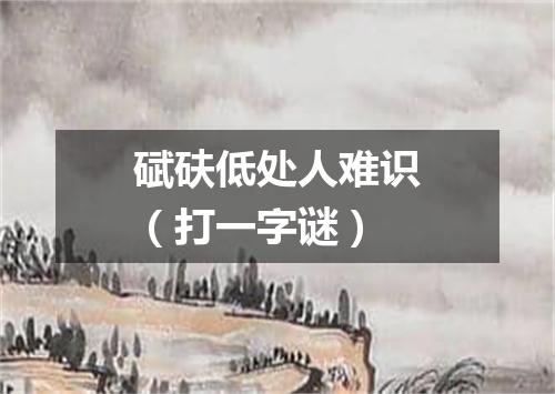 碔砆低处人难识（打一字谜）