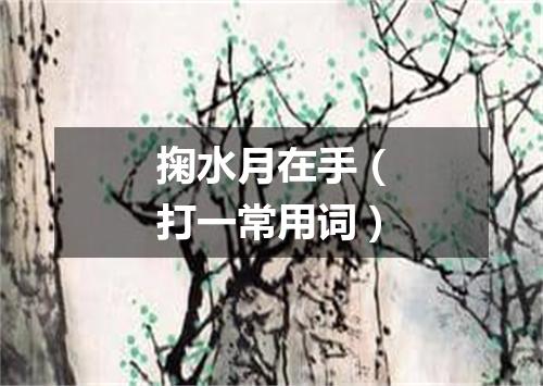 掬水月在手（打一常用词）