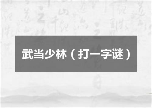 武当少林（打一字谜）