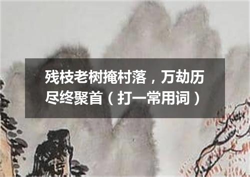 残枝老树掩村落，万劫历尽终聚首（打一常用词）