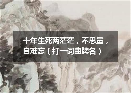 十年生死两茫茫，不思量，自难忘（打一词曲牌名）