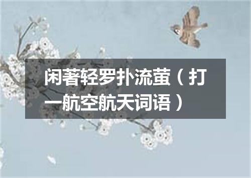 闲著轻罗扑流萤（打一航空航天词语）