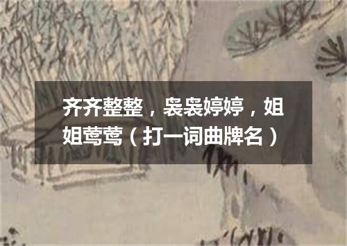 齐齐整整，袅袅婷婷，姐姐莺莺（打一词曲牌名）