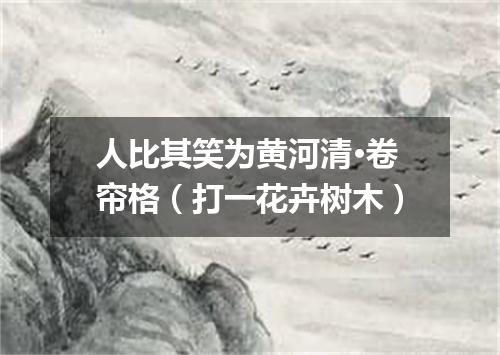 人比其笑为黄河清·卷帘格（打一花卉树木）