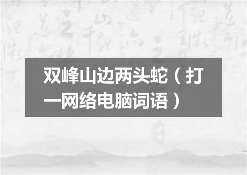 双峰山边两头蛇（打一网络电脑词语）