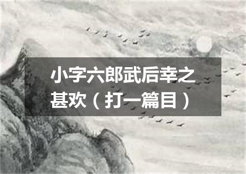 小字六郎武后幸之甚欢（打一篇目）