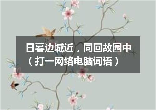 日暮边城近，同回故园中（打一网络电脑词语）