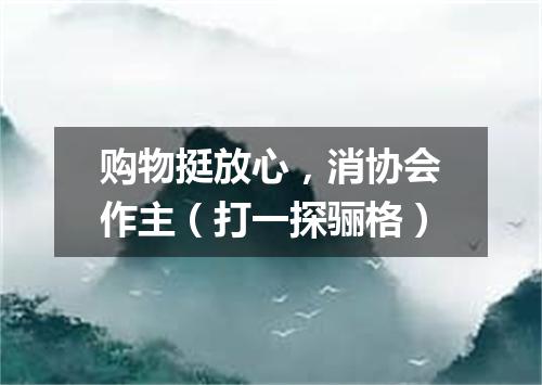 购物挺放心，消协会作主（打一探骊格）