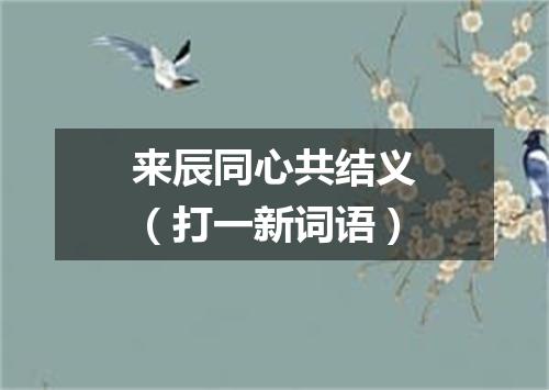 来辰同心共结义（打一新词语）