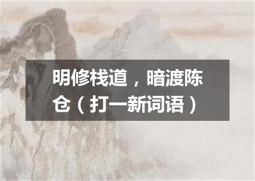 明修栈道，暗渡陈仓（打一新词语）