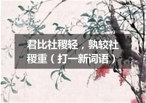 君比社稷轻，孰较社稷重（打一新词语）