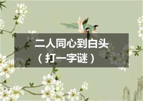 二人同心到白头（打一字谜）