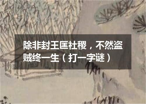 除非封王匡社稷，不然盗贼终一生（打一字谜）