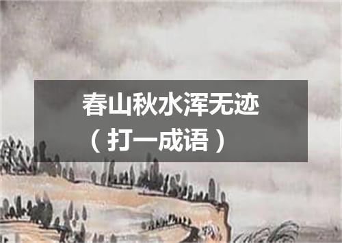 春山秋水浑无迹（打一成语）