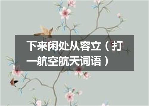 下来闲处从容立（打一航空航天词语）