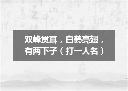 双峰贯耳，白鹤亮翅，有两下子（打一人名）