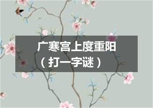 广寒宫上度重阳（打一字谜）