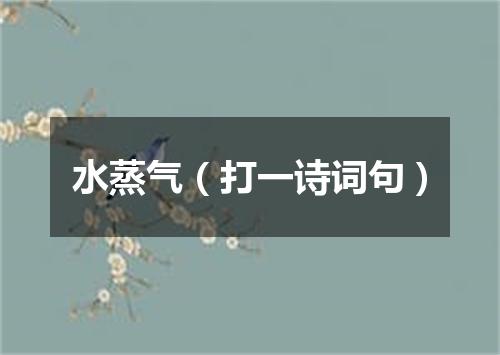 水蒸气（打一诗词句）