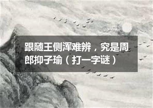 跟随王侧浑难辨，究是周郎抑子瑜（打一字谜）