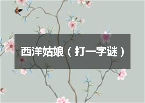 西洋姑娘（打一字谜）