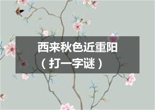 西来秋色近重阳（打一字谜）