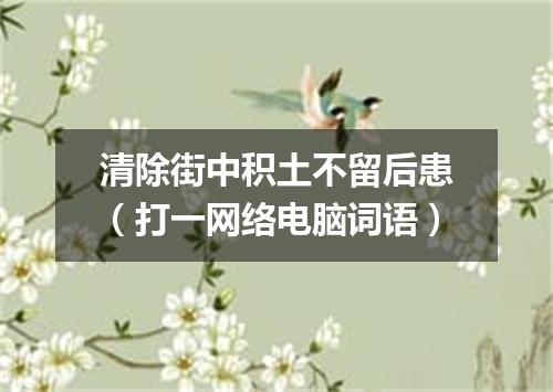 清除街中积土不留后患（打一网络电脑词语）