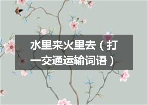 水里来火里去（打一交通运输词语）