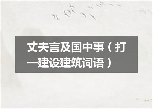 丈夫言及国中事（打一建设建筑词语）