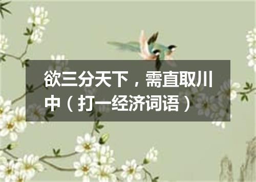 欲三分天下，需直取川中（打一经济词语）