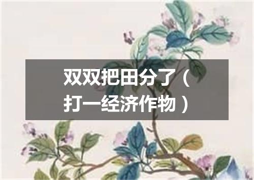 双双把田分了（打一经济作物）