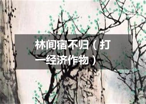 林间宿不归（打一经济作物）