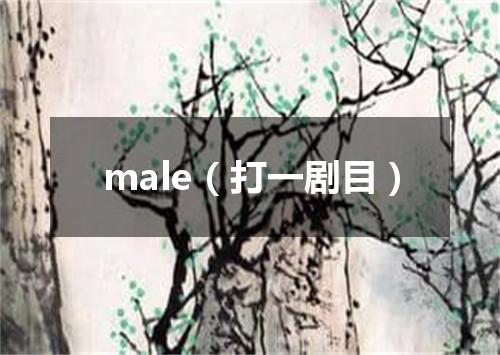 male（打一剧目）