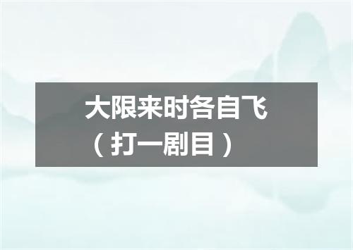 大限来时各自飞（打一剧目）