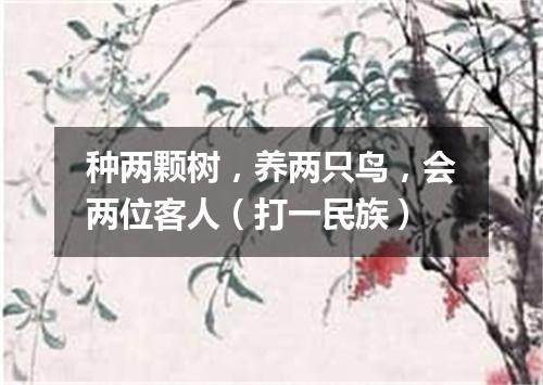 种两颗树，养两只鸟，会两位客人（打一民族）