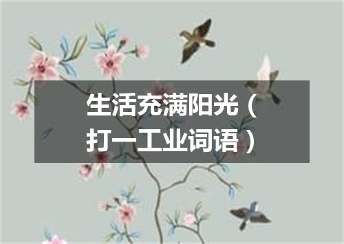 生活充满阳光（打一工业词语）