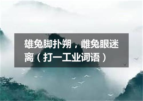 雄兔脚扑朔，雌兔眼迷离（打一工业词语）