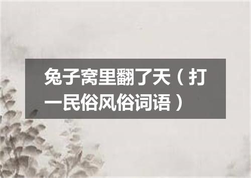 兔子窝里翻了天（打一民俗风俗词语）