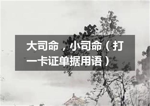 大司命，小司命（打一卡证单据用语）