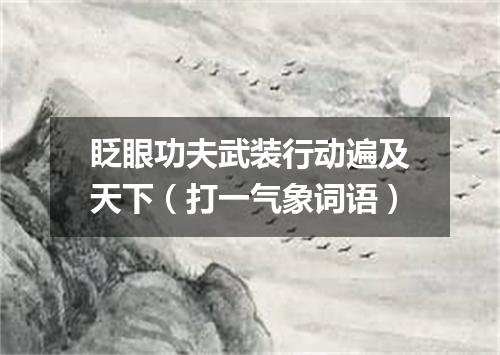 眨眼功夫武装行动遍及天下（打一气象词语）