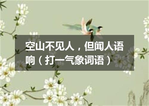 空山不见人，但闻人语响（打一气象词语）