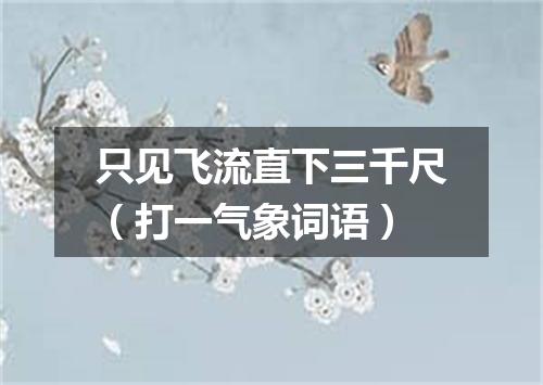 只见飞流直下三千尺（打一气象词语）