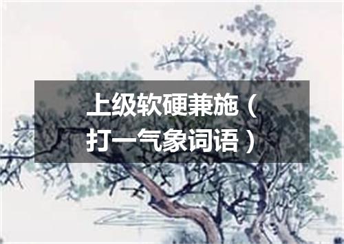 上级软硬兼施（打一气象词语）