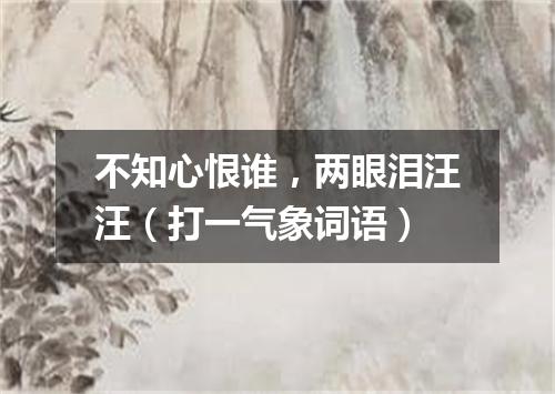 不知心恨谁，两眼泪汪汪（打一气象词语）