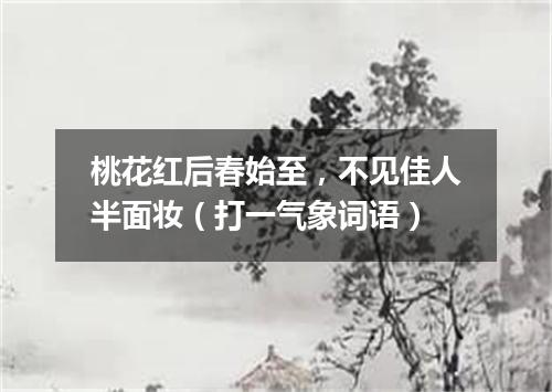 桃花红后春始至，不见佳人半面妆（打一气象词语）