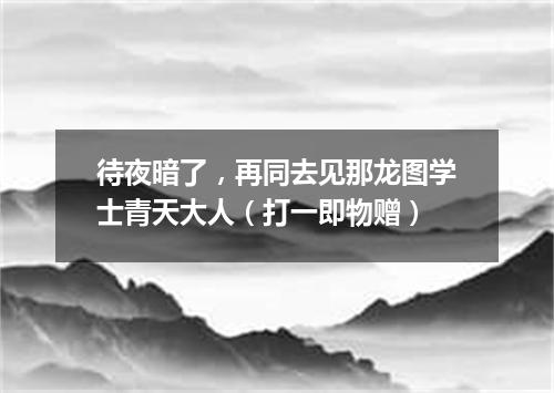 待夜暗了，再同去见那龙图学士青天大人（打一即物赠）