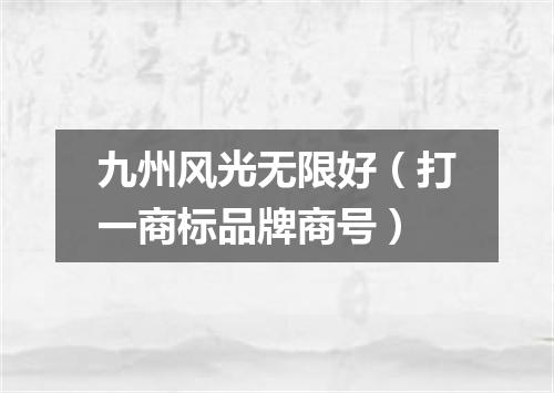 九州风光无限好（打一商标品牌商号）