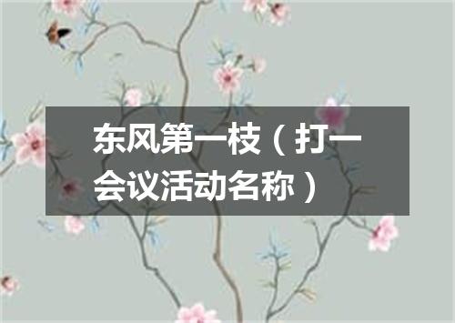 东风第一枝（打一会议活动名称）