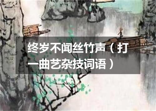 终岁不闻丝竹声（打一曲艺杂技词语）