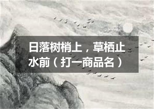 日落树梢上，草栖止水前（打一商品名）