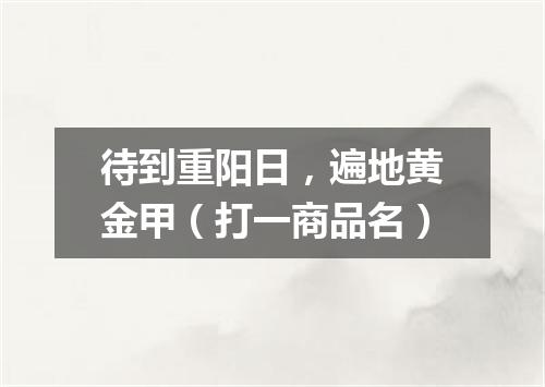 待到重阳日，遍地黄金甲（打一商品名）